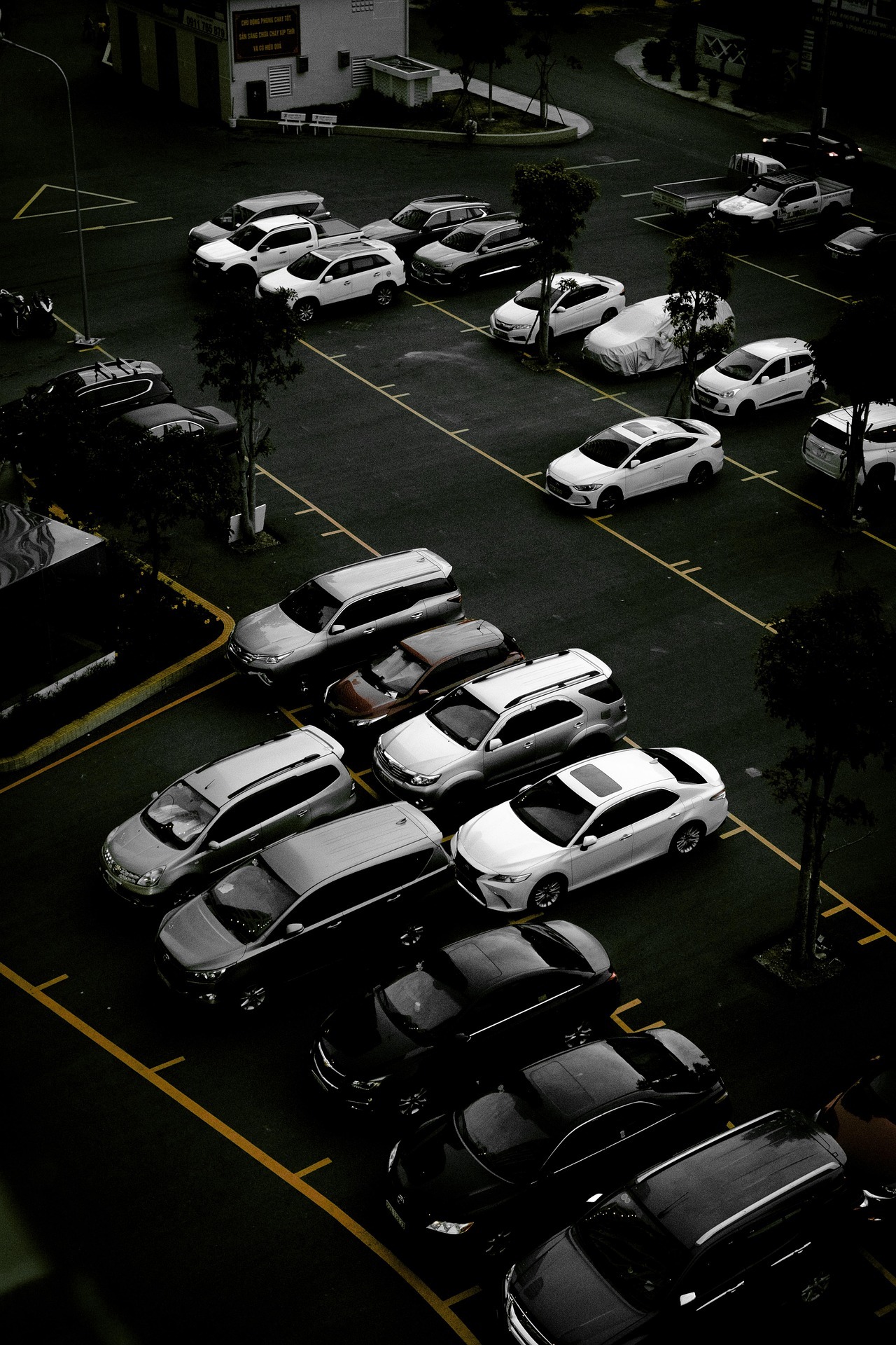 Motor Vehicle Handling